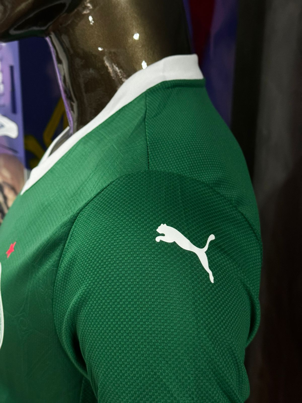 Modelo Jogador Palmeiras 25/26 Puma Verde