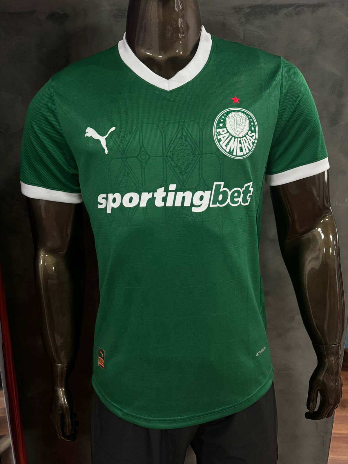 Modelo Jogador Palmeiras 25/26 Puma Verde