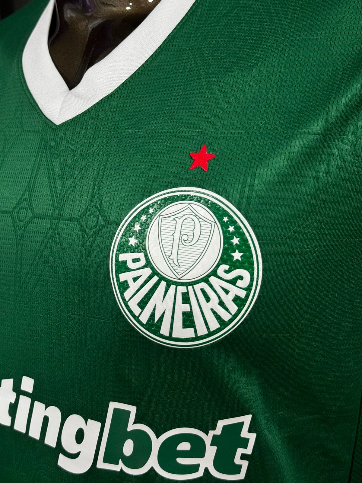 Modelo Jogador Palmeiras 25/26 Puma Verde