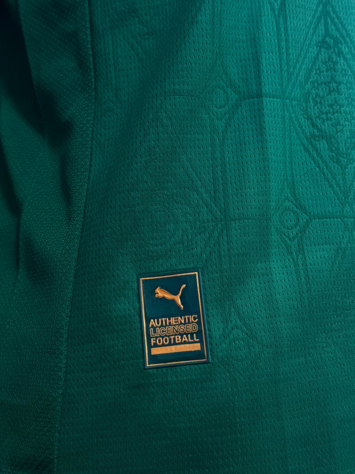 Modelo Jogador Palmeiras 25/26 Puma Verde