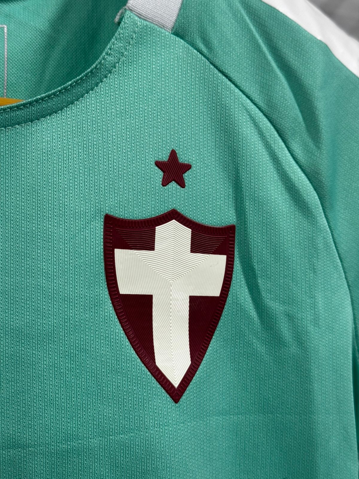 Palmeiras III 19/20 Feminina Puma Verde