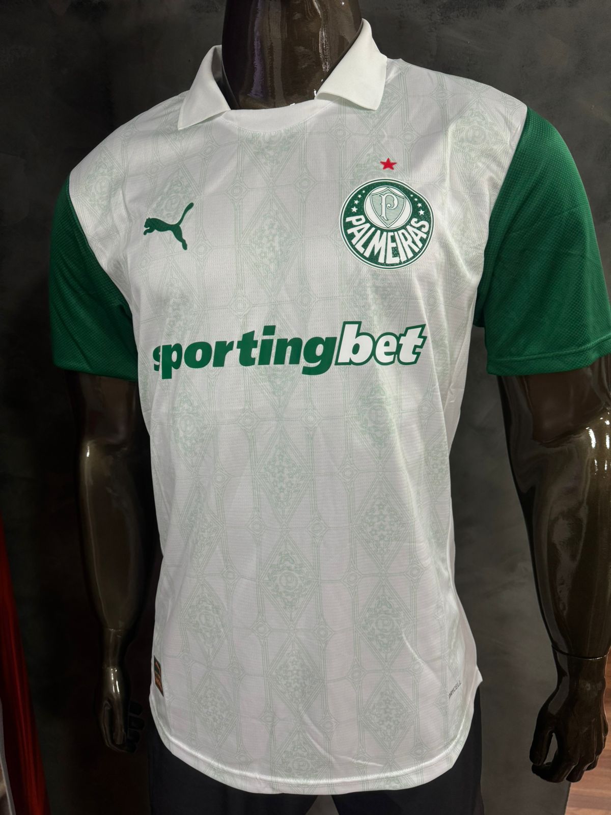 Modelo Jogador Palmeiras 25/26 Puma Branca