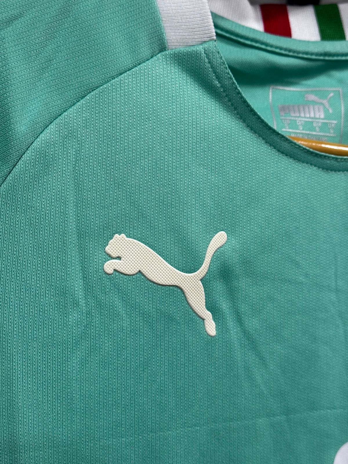 Palmeiras III 19/20 Feminina Puma Verde