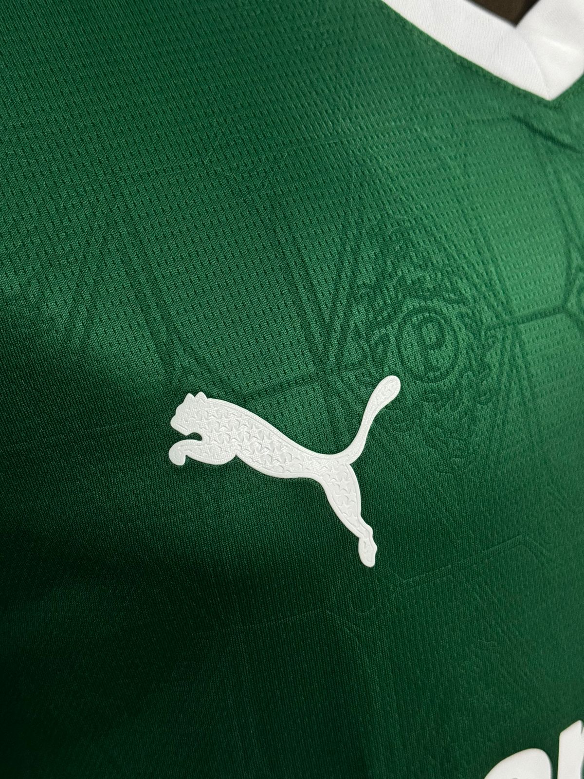 Modelo Jogador Palmeiras 25/26 Puma Verde