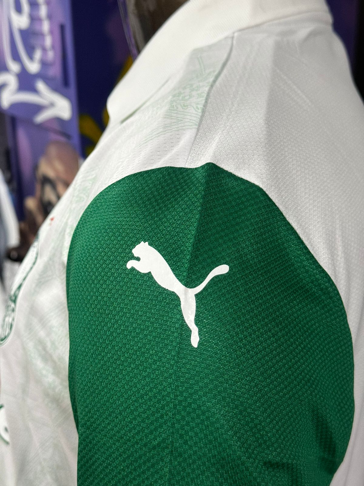 Modelo Jogador Palmeiras 25/26 Puma Branca