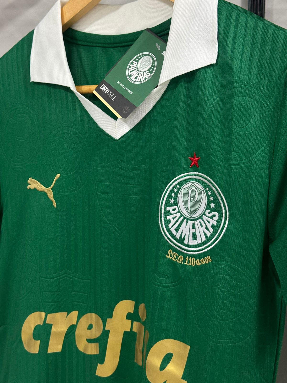 Palmeiras I 24/25 Feminina Puma Verde