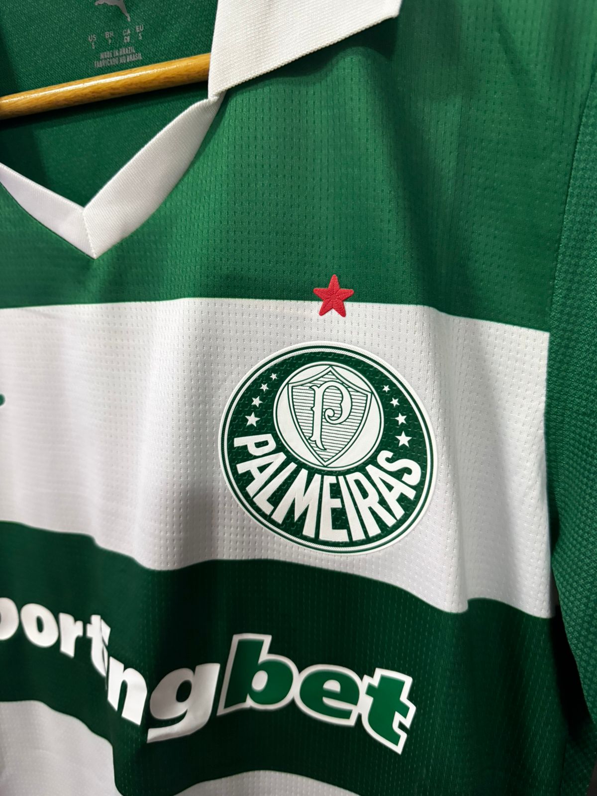 Palmeiras III 2025/26 Modelo Jogador Puma Verde