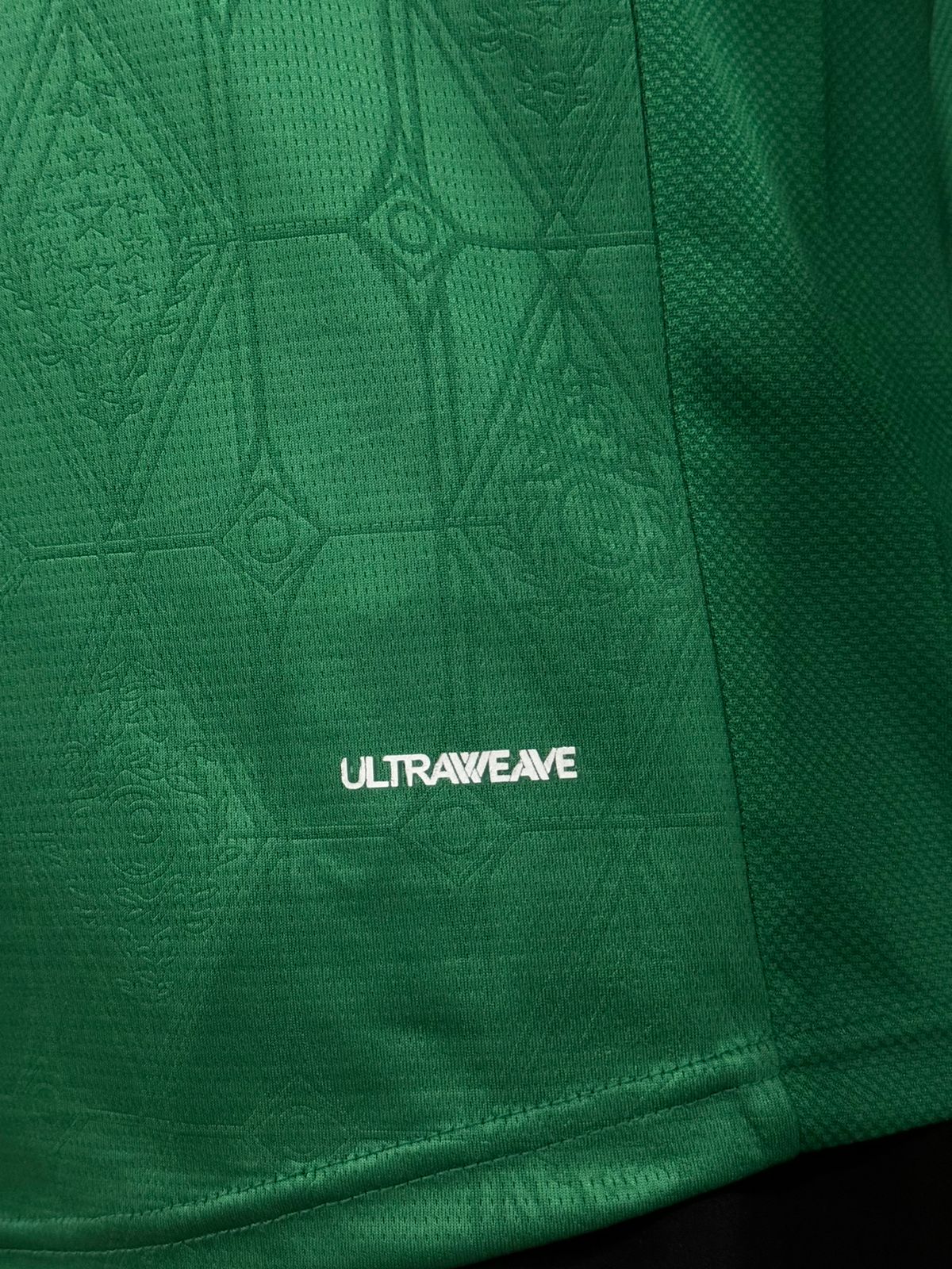 Modelo Jogador Palmeiras 25/26 Puma Verde