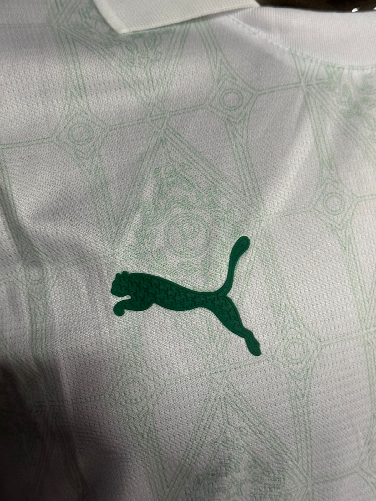 Modelo Jogador Palmeiras 25/26 Puma Branca
