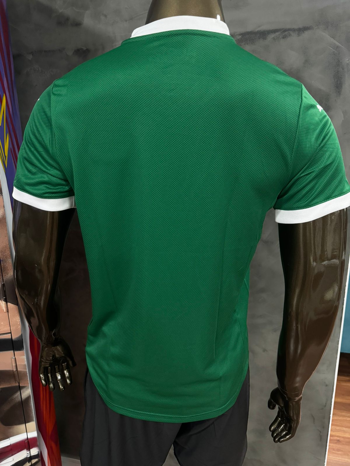 Modelo Jogador Palmeiras 25/26 Puma Verde
